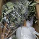 Artificial Fake Olive Tree 5FT Tall 1Pack Faux Silk Olive Tree for Home Living Room Office Decor Faux Artificial Plants Indoor Fake Potted Plants with Fruit & Free Moss
