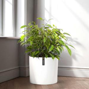 Fox & Fern Planter 10 Inch - Polystone - Large Flower Pot with Drainage Hole - for Indoor Plants - Plant Pots Large - White