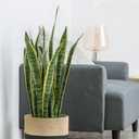 Dahey Jute Rope Plant Basket Modern Woven Storage Basket for 10.5" Indoor Planter, Decorative Flower Pots Cover Laundry Bin with Handle Rustic Home Decor, Black