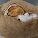 Deekin 5 Pcs Hamster Stuffed Animal Set 4 Inch Hamster Mommy with 4 Cuddly Plush Babies in Belly Valentine Cute Plush Toys Gifts for Kids Birthday Valentine Party Decor