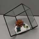 Decor Bambeco Glass/Metal Square Terrarium with Succulents 