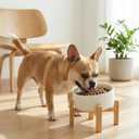 hjn Elevated Ceramic Dog Bowl 15Slanted Raised Dog Bowl with Bamboo Stand for Small Medium Dogs and Cats, Pet Feeder -3.6-Cup (850ml)-White