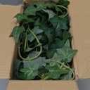 Fake English Ivy Plants in Pots Set of 2  Realistic Artificial Ivy Greenery for Home Decor, Tabletop, Office, Shelf, Balcony or Bathroom  Lifelike Faux Hanging Vines, No Maintenance Required