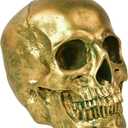 SEKKVY Resin Human Gold Skull Statues Halloween Decor Skeleton Outdoor Human Skull Model Golden Home Decoration (Non-Removable)