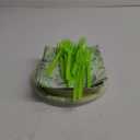 A Tiny Bit Older Birthday Decoration Martini Birthday Party Dcor with Plates Cocktail Napkins Forks Set for Margarita Party Decorations Supplies 20 Guests