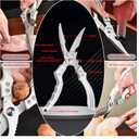XQASIEO Heavy-Duty Stainless Steel Kitchen Scissors, All-Purpose Poultry Meat and Chicken Bone Cutting Shears