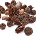 Apol Total 200 Pcs Natural Mini Pinecones Maple Fruit Ornament Set for Vase Fillers Photo Props DIY Home House Christmas Decoration Craft