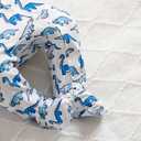 monica + andy Baby Organic Zipper One-Piece (Preemie, Tiny Blue Dino Delight)