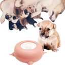 2023 New Milk Feeder for Kittens and Puppies, Puppy Feeders for Multiple Puppies, Food Grade Silicone Kitten Puppy Milk Nipple Feeder Pet Kitty Pacifier Bowl Feeder with 3/4 Nipples (4 Nipples 200ML)