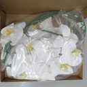 Fnize Orchid Stems Artificial Flowers Real Touch Latex Faux Phalaenopsis Branches 9 Large Blooms 38 Inches 2pcs White