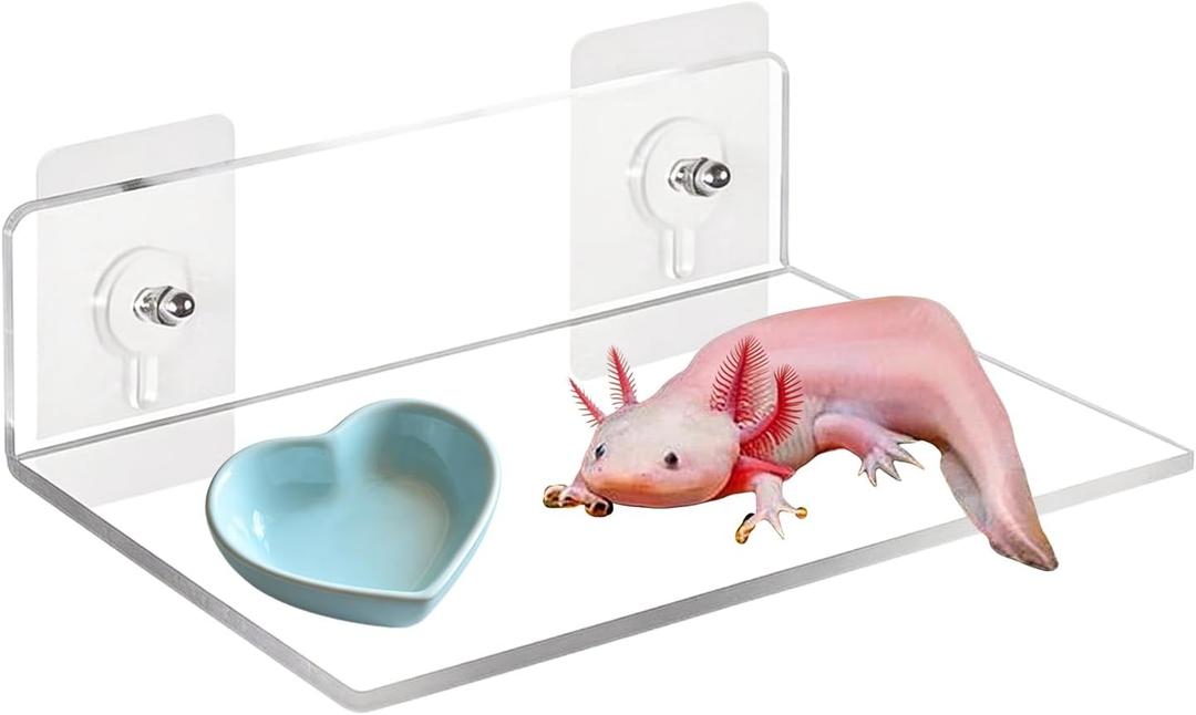 Axolotl Hammock Ledge for Aquarium, Axolotl Feeding Shelf with Feeder Bowl, Ceramic Heart Shape Feeding Dish, Tank Accessories for Bearded Dragons, Geckos, Lizards