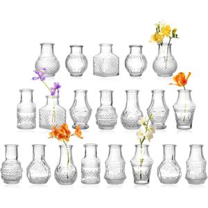 20 Pcs Mini Bud Vases Small Glass Vases for Flowers, Centerpieces, Party Decor Have Assorted Sizes Add a Touch of Elegance to Your Room 20 Pcs Mini Bud Vases Small Glass Vases for Flowers, Centerpieces, Party Decor Have Assorted Sizes Add a Touch of Elegance to Your Room