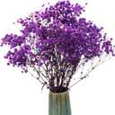 TooGet Purple Dried Flowers Dried Babys Breath Flowrs Bouquet Natural Gypsophila Branches for Home Decor, Wedding, Table Decor, DIY Wreath Floral, Dry Flowers Bulk for Vase