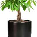 Ceramic Planter 7 Inch - Cylinder Round Modern Indoor Plant Pot for Plants with Drainage Hole and Saucer, Room Home Patio Office Patio Decor, Black