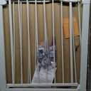 29.92-48" Baby Gate for Stairs & Doorways Pressure Mounted Auto Close | No-drill Easy Install Dog Gate, Walk-through Safety Child Gates Design for Toddler & Pet/Puppy, Indoor, 30" Tall Dual-lock