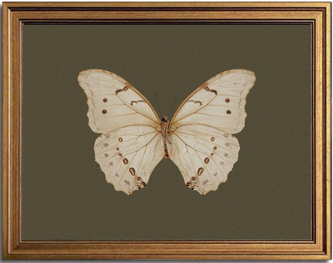 KBKBART Vintage White Butterfly Wall Art, Framed Wall Art Insect Pictures Wall Decor Aesthetic, Dark Moody Cottagecore Room Decor, Sage Green Bathroom Canvas Painting, Desk Shelf Decor, Canvas Wall Art Prints for Bedroom, Living Room(8"x10")
