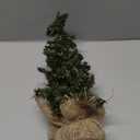 Kurt Adler 12 Miniature Pine Tree