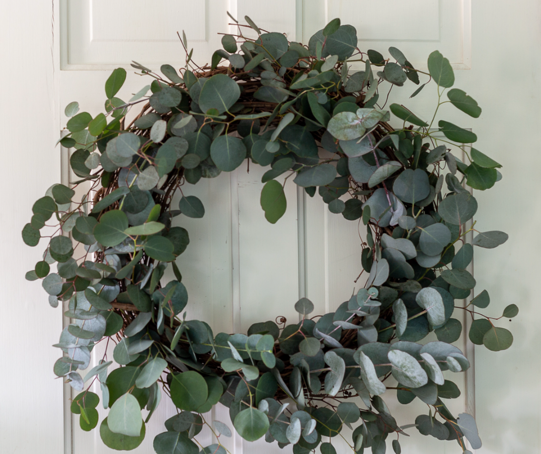 HD 24in Eucalyptus Wreath
