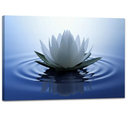 White Lotus Wall Art Canvas Pictures Print Spiritual Meditation Artwork Poster for Yoga Room Bathroom Zen Spa Photo Decor Framed Ready to Hang(16x24inch