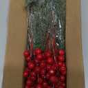 Watayo 60 Pcs Christmas Artificial Pine Branches with Red Berry Stems, 10.5" Faux Evergreen Norfolk Pine Cypress Leaves Stems, Fake Foliage Pine Needles Picks for DIY Craft Garland Home Decor