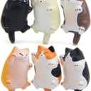 CHICHIC 6 Pack Fun Cat Refrigerator Magnets Office Magnet, Kitchen Decor Fridge Cat Ornament, Perfect for Whiteboard, Refrigerator, Map, Notes, Calendar, Lady Cats Lovers Novelty Butt