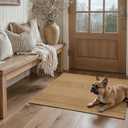 2x3 Textured Washable Entry Rug, Natural Woven Low-Profile Door Mat with Non-Slip TPR Backing, Light Light Brown, for Entryway, Kitchen, Laundry Room