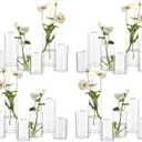 Small Glass Bud Vases for Centerpieces  Hewory 24pcs Clear Blown Single Flower Vases Bulk, Modern Mini Cylinder Vase Set for Wedding Anniversary Birthday Party Events Home Living Room Table Decor
