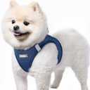 rabbitgoo Small Dog Harness, Step-in Soft Mesh Puppy Vest with Safety Buckle, Breathable Reflective Pet Harness for Small Sized Dogs, Navy Blue S