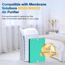 MSA3/MSA3S Pet Odor Replacement Filter Compatible with Membrane Solutions MSA3 and MSA3S Device, 4-Stage HEPA, 2 Pack