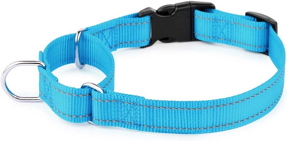 PLUTUS PET Reflective Martingale Collar with Quick Snap Buckle,No Pull Dog Choker Collar for Small Medium Large Dogs,S,Blue (S:12"-16")