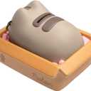 Pusheen Piggy Bank for Kids - Pusheen Stuff (5.9 x 7.4 x 7.4 inches)