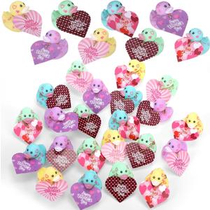 Jerify 12 Pcs 2 Inch Valentines Rubber Ducks Bulk with Gift Cards Mini Heart Rubber Duckies Bath Toys Valentine's Day Gift for Kids Classroom Favors Prizes Exchange (Macarons)