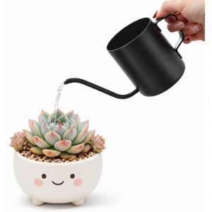 Watering Can for Indoor Plants, 12 oz / 350 ml Mini Plant Waterer, Stainless Steel Watering Can with Long Spout for House Plants, Succulents and Garden Decorative, Gentle Flow & No Spills