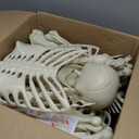 Liliful 4 Pcs 5.3 ft Halloween Coffins and Skeletons Outdoor Decorations, Coffin Prop with Lid Pop up Caskets Life Size Poseable Skeleton Horror Props Human Bones for Haunted House Grave Yard Decor