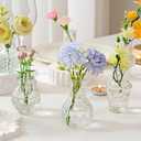 20 Pcs Mini Bud Vases Small Glass Vases for Flowers, Centerpieces, Party Decor Have Assorted Sizes Add a Touch of Elegance to Your Room