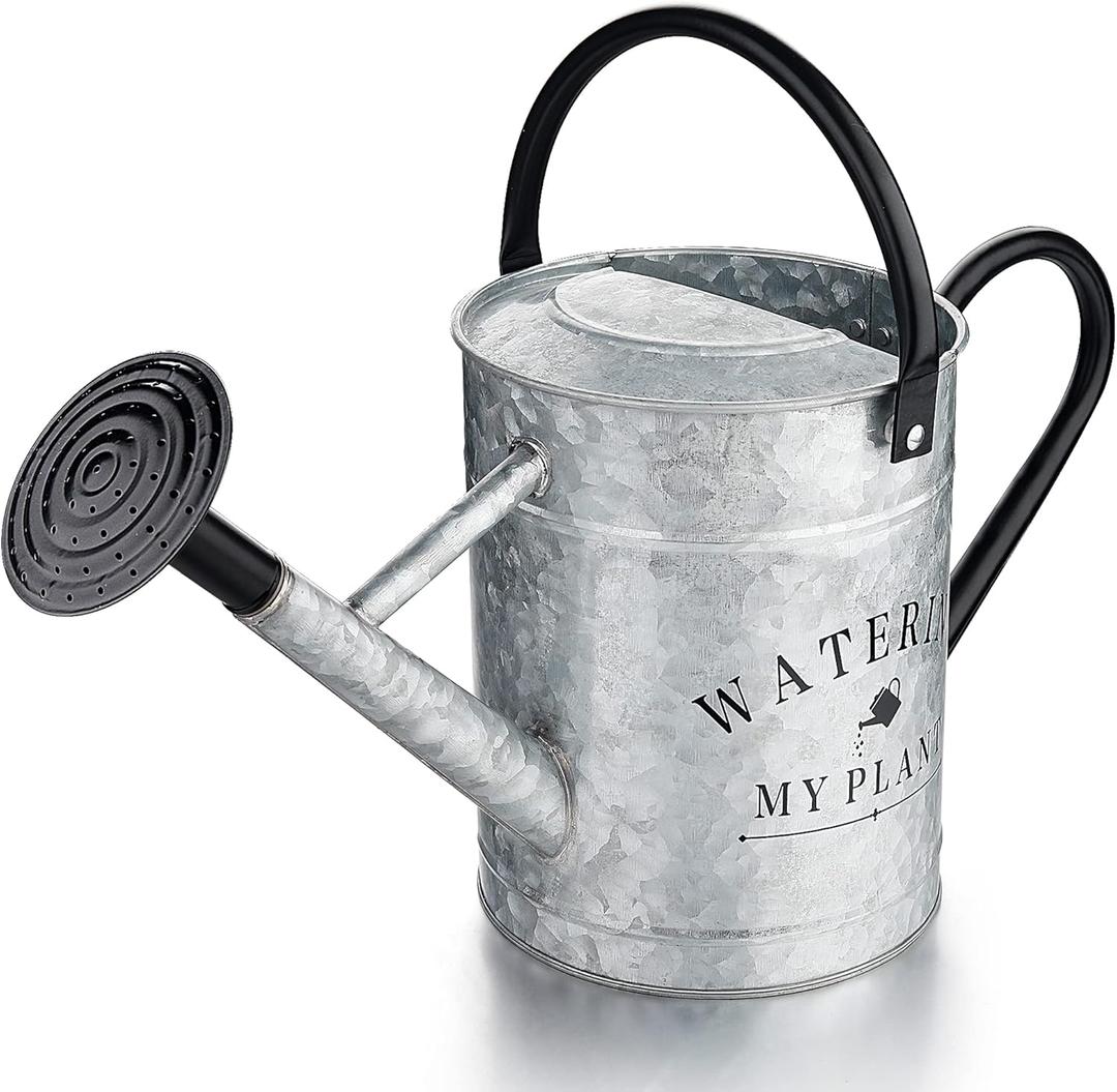 Galvanized Watering Can for Outdoor Indoor Plants, 1 Gallon Decorative Countryside Style Water Can with Removable Spout, Perfect Metal Watering Can for Indoor Plants and Garden Flower (Silver)