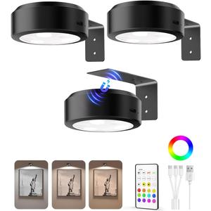 EZVALO Picture Lights for Wall, 2000mAh Rechargeable Battery Magnetic Poster Lights with 3 Color Temps & 12 RGB, Remote Dimmable Timer Painting Light, Wall Decor Light for Art Display, Frame (3 Pack) (Black)