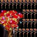 Lyrow 24 Pcs Galaxy Rose LED Light up Rose Flower Gifts Crystal Artificial Rainbow Flower for Mom Her Lover Girlfriend Mother's Day Wedding Birthday Gift, 9.84 Inches (Red)