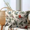 Winter Pillow Covers 18x18 Inch Red and Blue Birds Decorative Throw Pillows Set of 2 Christmas Pinecone Pillow Cases for Sofa Couch Home Xmas Decor