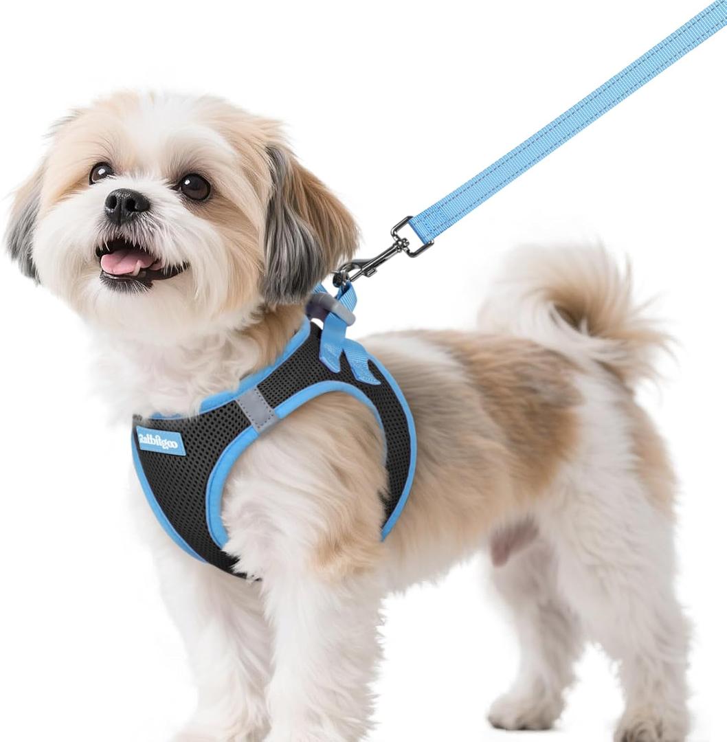 Rabbitgoo Dog Harness Small Sized and Leash Set, Step-in Breathable Pet Harness, Soft Walking Reflective Puppy Vest for Dogs, Black & Light Blue, S (Chest: 15.1 - 16.5")
