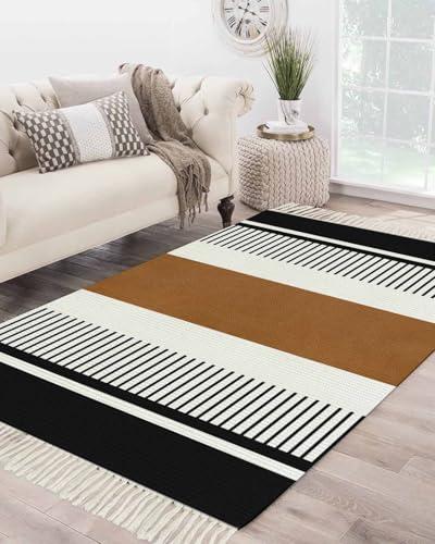 Geometric Large Area Rug 4x6ft Woven Runner Rug,Boho Black Brown White Stripe Contemporary Bohemia Washable Living Room Bedroom Kitchen Bathroom Classroom Carpet with Tassels Indoor Throw Door Mat