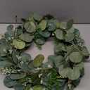 HD 24in Eucalyptus/Berry Spiral Wreath