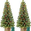 2 Pack 4 Ft Artificial Christmas Entrance Tree in Fake Wooden Box Base with 60 LEDs Warm White Light Timer Waterproof Battery Box Operated 140 Branches 14 Pinecone 12 Berries Xmas Decor for Door Porch
