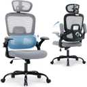 Office Chair with Adjustable Lumbar Support, Ergonomic Desk Chairs, Gray, Large