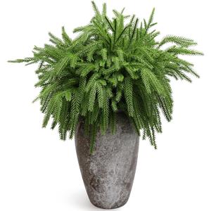 VICAMB 8PCS 18.5 inches Christmas Norfolk Pine Branches,Artificial Faux Greenery Stem,Norfolk Pines Picks for Garland Wreath Xmas and Home Garden Decor