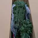 National Tree Company 7.5 ft Pre-Lit Jersey Fraser Fir Artificial Christmas Tree, 1,250 Clear Lights, 3,144 Tips, Includes Stand, Green