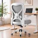 Ergonomic Home Office Chair, 4-Way Lumbar, Thick Cushion, 330LBS (Gray/Finish Silver)