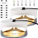 Flea Trap 2 Packs Premium Flea Traps for Inside Your Home Natural and Child-Friendly Light Trap for Indoor with Natural Glue Discs Refills and LED Lightbulb 