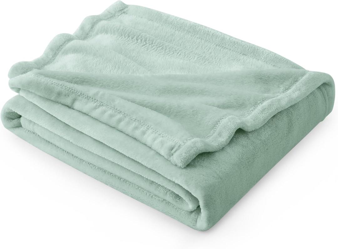 Bedsure GentleSoft Sage Green Fleece Throw Blanket - 300GSM Soft Lightweight Plush Cozy Blankets for Bed, Sofa, Couch, Travel, Camping (Throw (50" x 60"))