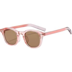 Classic Small Round Sunglasses for Women Men Retro Circle Style Tinted Sun Glasses